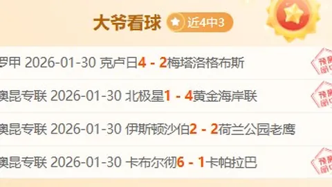篮网对阵国王比赛深度解析